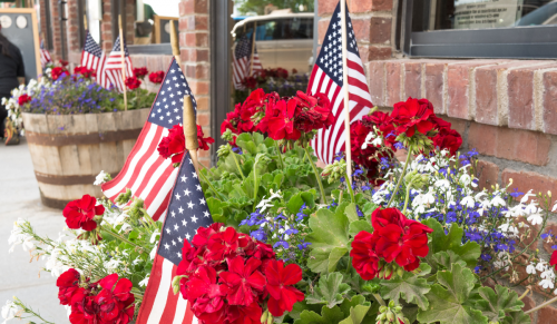Happy Independence Day
