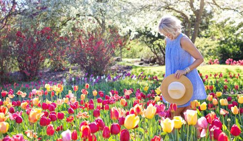 CD Special for Spring