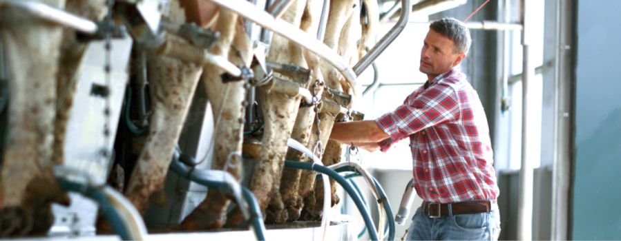 Federal Milk Marketing Orders Impact on DRP Insurance