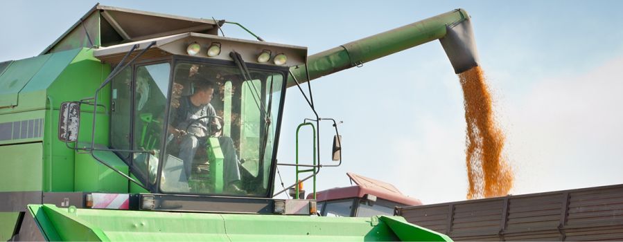 Managing Farm Risks with Crop Marketing and Insurance