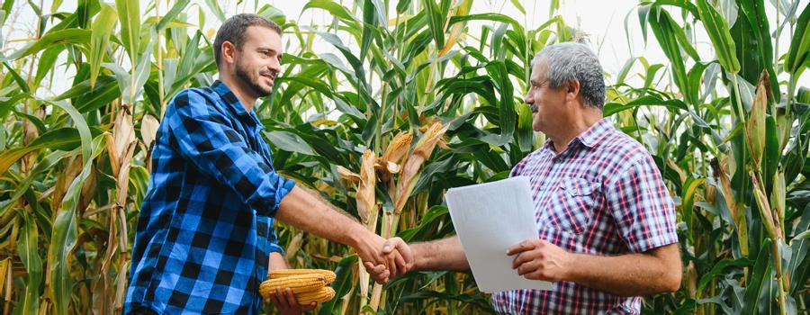 Get a Free Crop Insurance Review for 2022