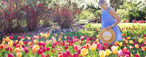 Spring In for a Great Rate