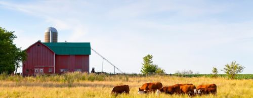 FSA Offers Joint Financing Options on Direct Farm Ownership Loans