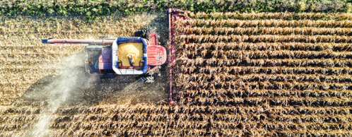 Marketing for a Margin