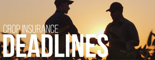 Crop Reporting and Closing Deadlines