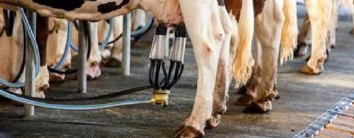 Do Low Milk Prices Have You in the Dumps?