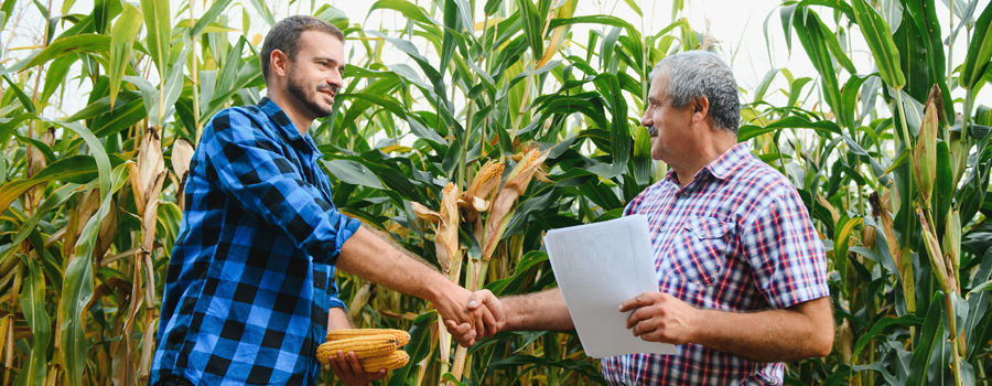 Get a Free Crop Insurance Review for 2022